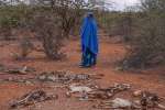 Una mujer que huyó a Melkadida, Etiopía para escapar de la hambruna en...