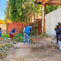 Participantes das Brigadas Ecológicas realizam mutirão de limpeza em espaço urbano, utilizando ferramentas para remover resíduos e vegetação acumulada.