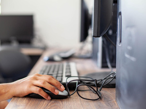 A person using the computer.