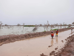 Pessoas deslocadas pelas enchentes carregam crianças e pertences ao longo de uma estrada alagada em Bentui, Sudão do Sul, em julho de 2024.