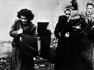 Refugiados húngaros chegam ao campo de refugiados de Eisenstadt, na Áustria, após a repressão brutal da Revolução Húngara de 1956