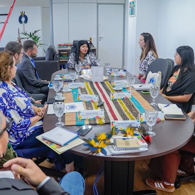 Reunião em uma sala de reunião com nove pessoas sentadas ao redor de uma mesa oval. A mesa está decorada com artesanatos indígenas coloridos. No fundo, há uma rede vermelha pendurada e objetos decorativos na parede. A pessoa ao centro da cabeceira fala com o grupo, enquanto os demais participantes a escutam. Livros, cadernos, copos de água e materiais de trabalho estão espalhados sobre a mesa.