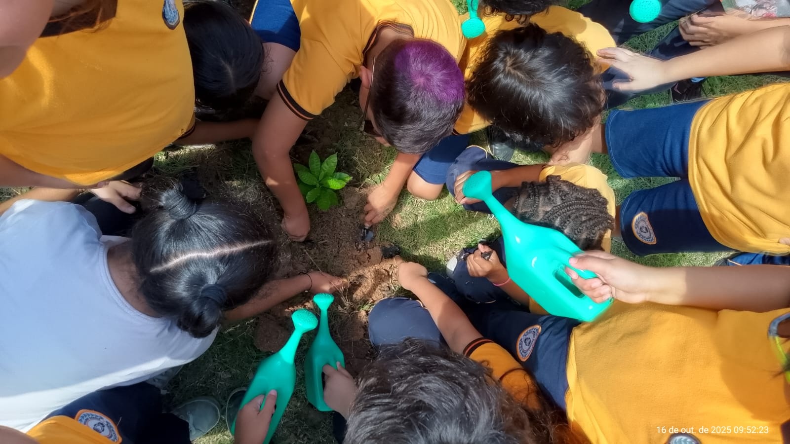Grupo de crian&ccedil;as vestindo uniformes escolares amarelos e azuis participa de uma atividade de plantio ao ar livre. Elas est&atilde;o reunidas em c&iacute;rculo em torno de uma muda verde rec&eacute;m-plantada, mexendo na terra com as m&atilde;os e utilizando regadores pl&aacute;sticos verdes para regar. A cena ocorre sobre grama sob luz solar.
