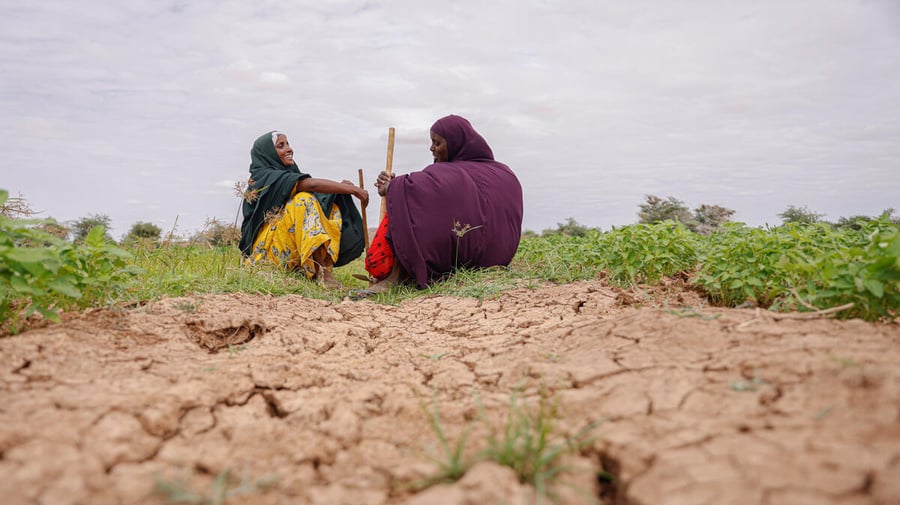 Beneficiárias de cooperativas agrícolas perto do campo de refugiados de Kobe, na Etiópia, onde o solo está rachado pela seca