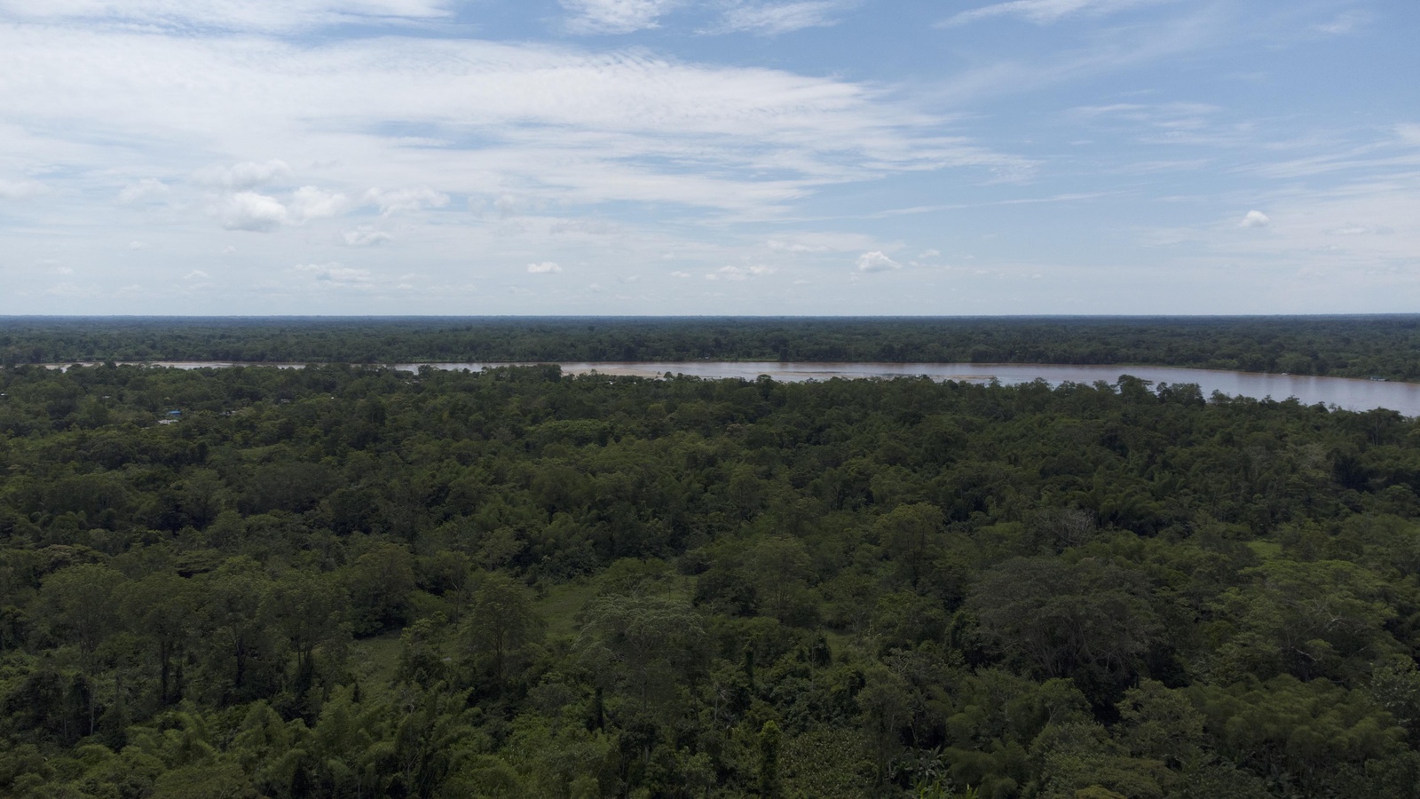 Bosque amazónico y el río Putumayo 