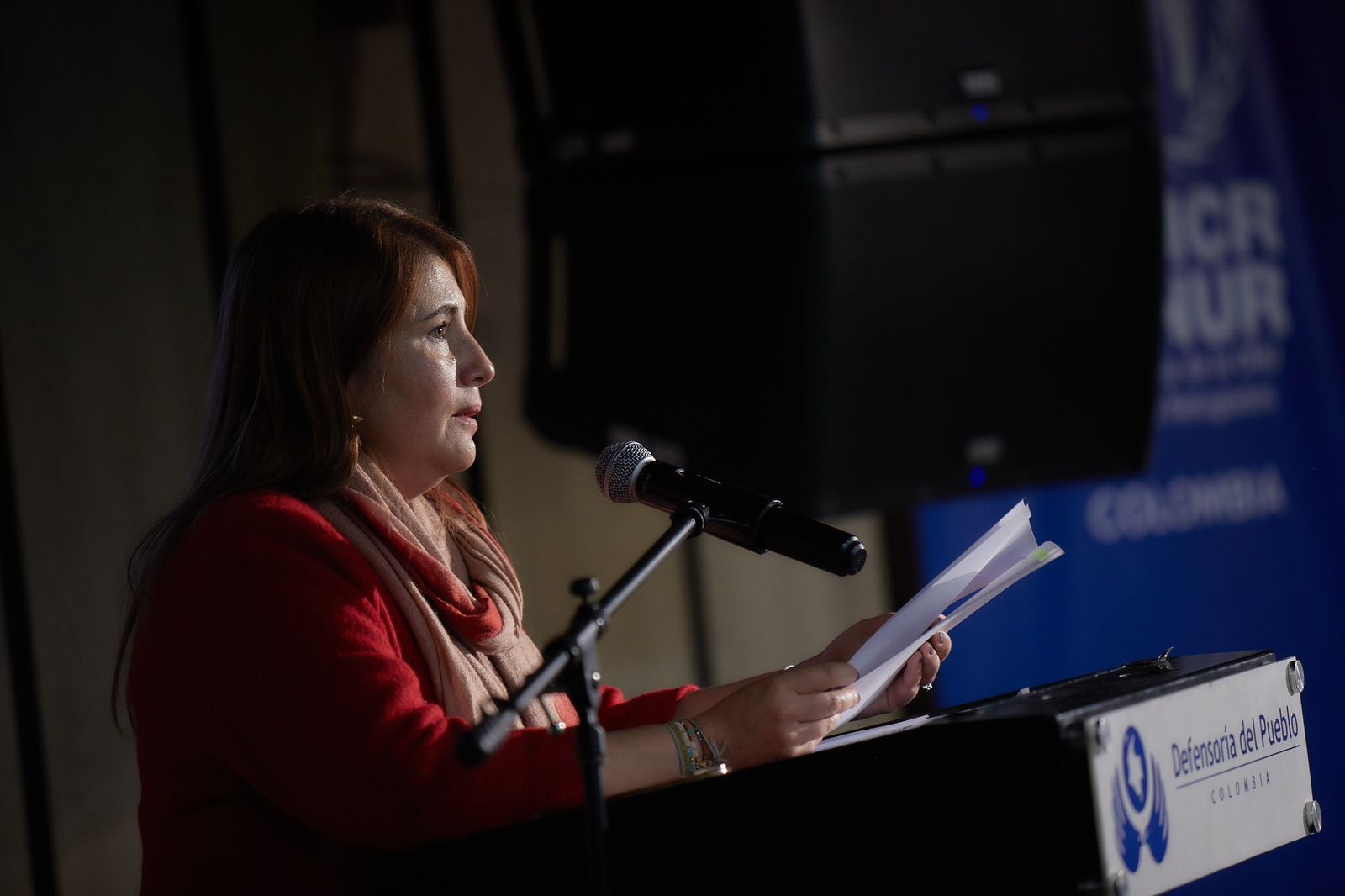 Intervención de la Defensora del Pueblo, Iris Marin Ortíz 
