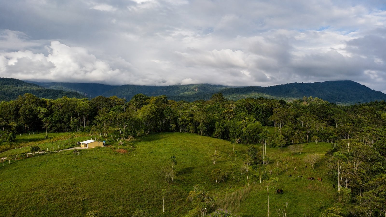 Panorámica de las montañas y campo verde del territorio del resguardo Yanacona