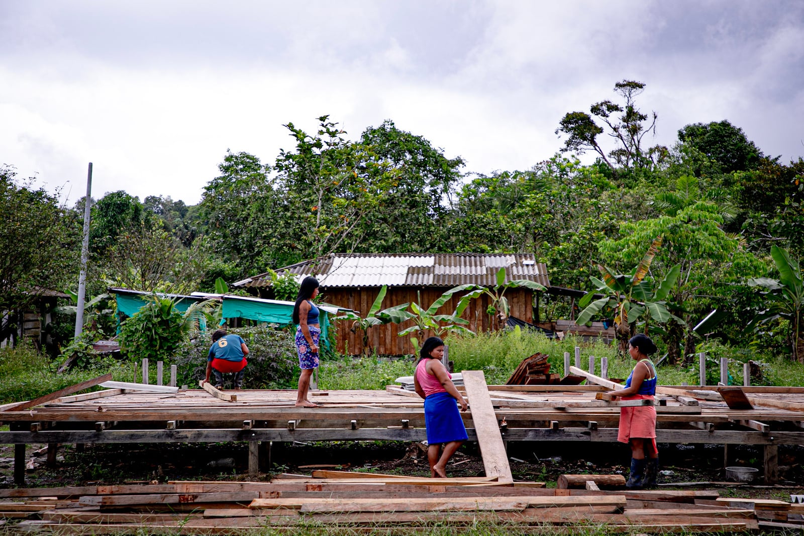 Mujeres Wounaan reconstruyendo su casa 