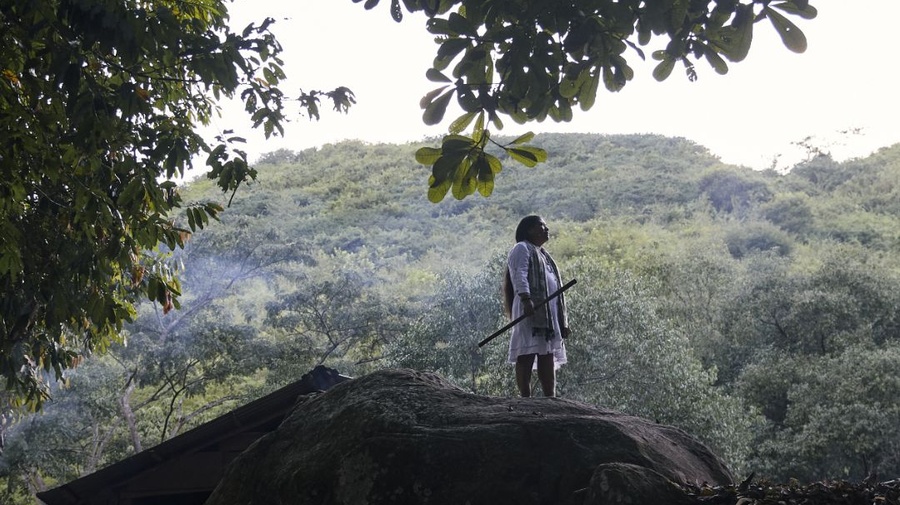 Mujer indígena del pueblo Yukpa sobre una piedra y en medio de la naturaleza