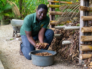 Ermano Prévoir, refugiado haitiano residente en Brasil y miembro de la nueva red "Refugiados por la Acción Climática", promueve la sostenibilidad medioambiental en su comunidad.