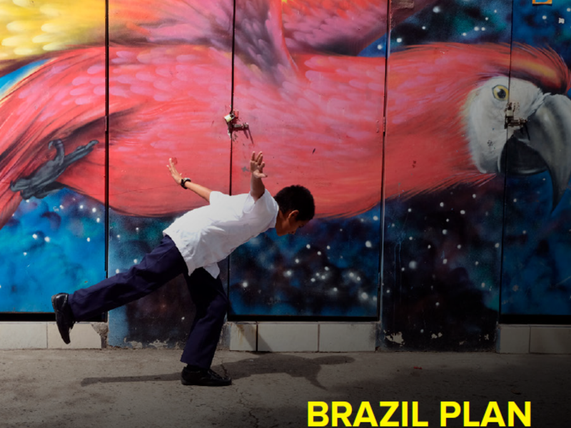 Brazil Plan of Action final implementation report 2014-2024