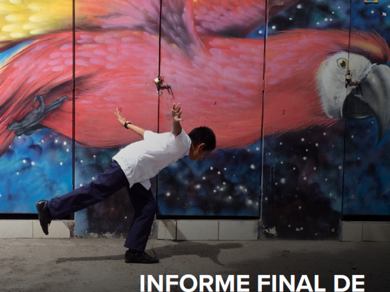 Informe final de implementación del Plan de Acción de Brasil: 2014-2024