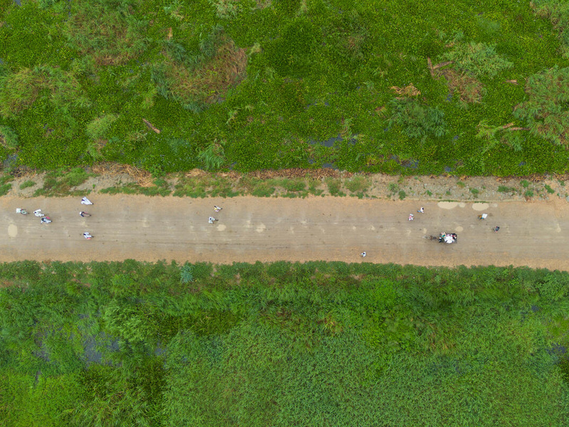 Vista aérea de un camino franqueado por vegetación