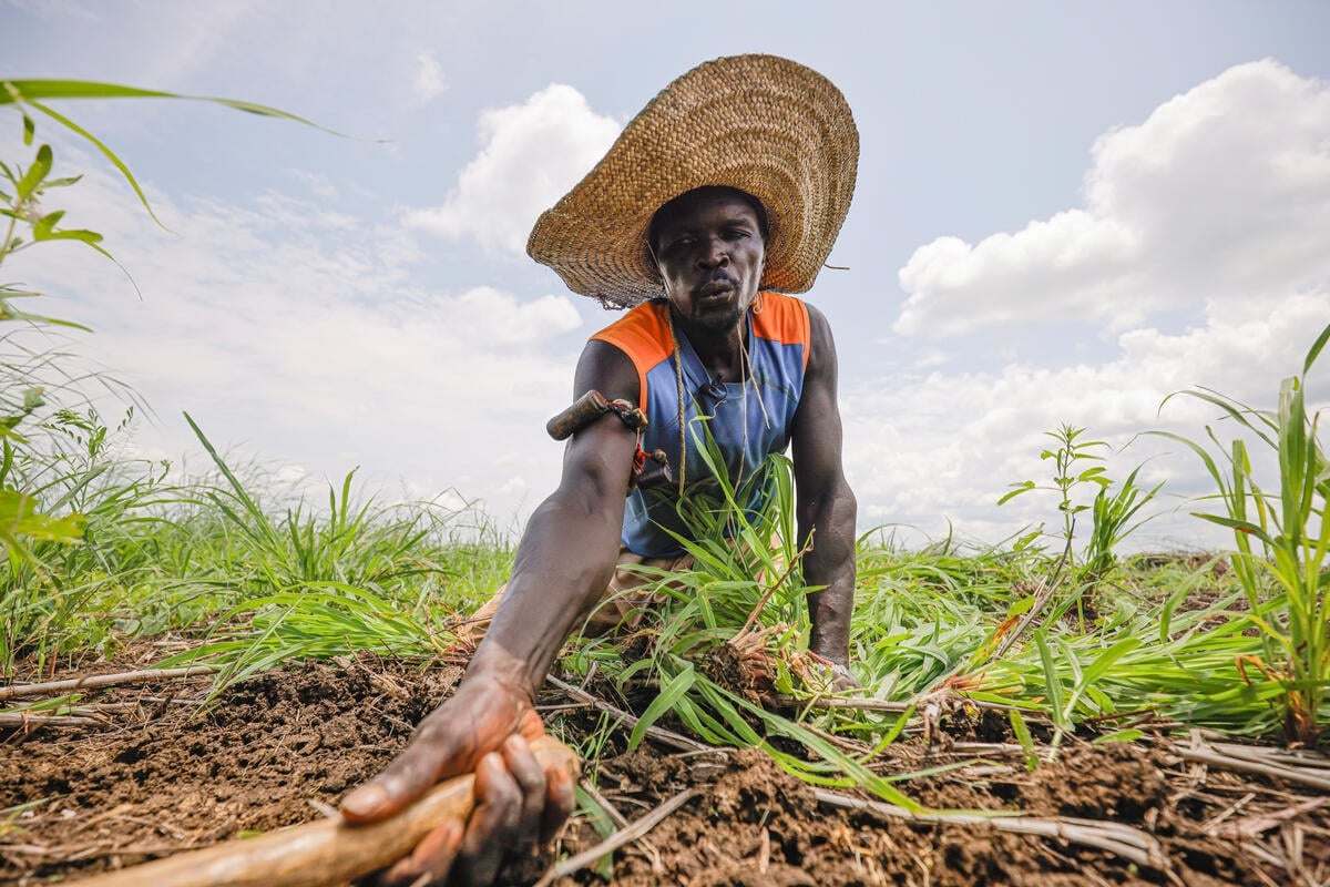 Un agricultor con sombrero de paja se agacha para limpiar su campo