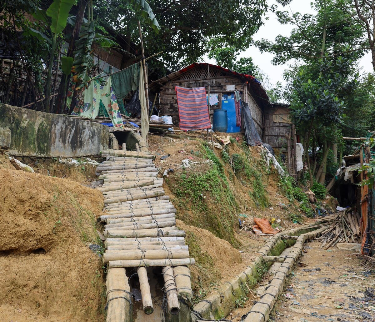 Sobre una ladera, un puente de bambú que conduce hacia un alojamiento hecho de lámina, lonas y madera