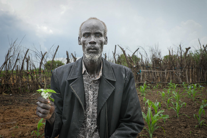 Un hombre mayor posa para una foto mostrando una planta en un campo de cultivo.