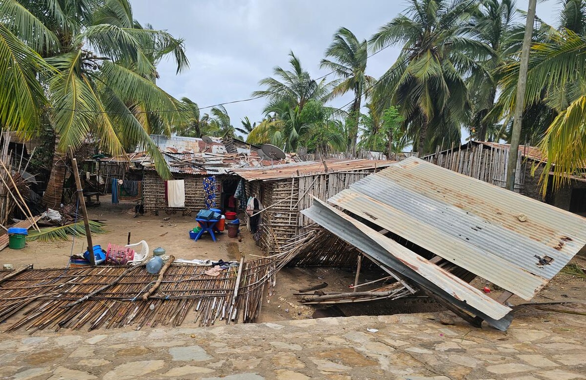 Casas de palos y aluminio destruidas. Alrededor de ellas hay palmeras