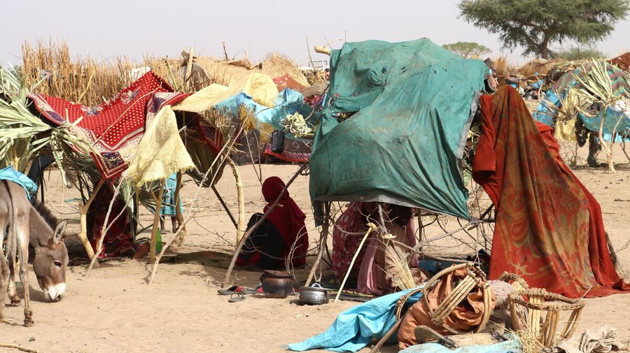 Personas refugiadas sudanesas recién llegadas a Chad.