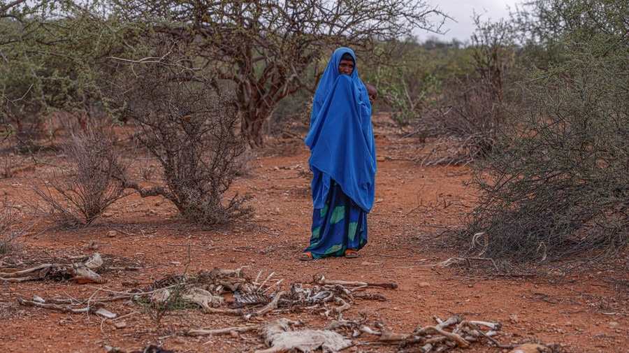 Ethiopia. UNHCR supports the displaced and host communities in Melkadida