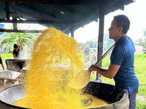 Un hombre con camiseta azul, sostiene una pala de madera grande con la que prepara un alimento de color amarillo en un espacio al aire libre