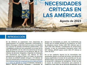 Necesidades críticas en las Américas