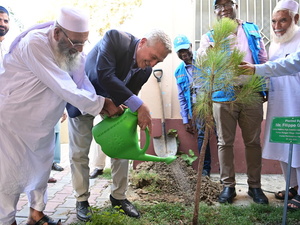 Un grupo de hombres planta un árbol en Pakistán