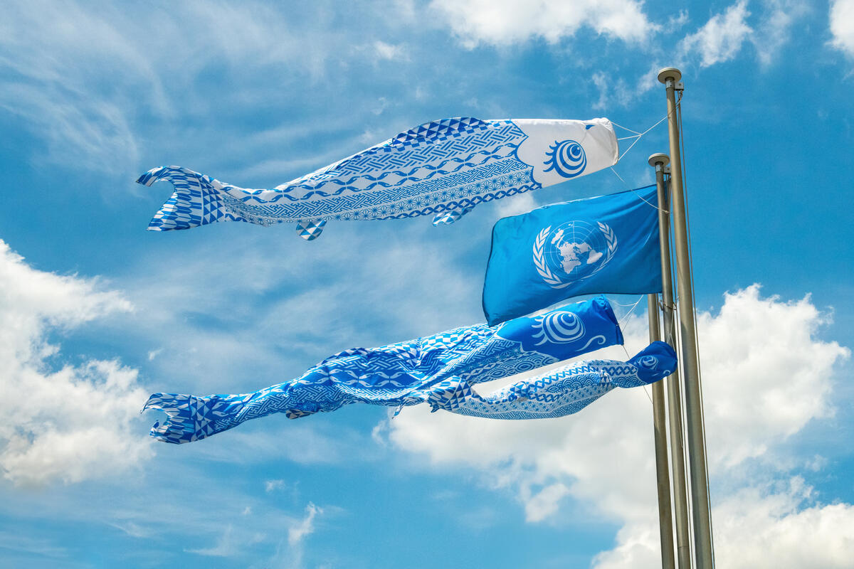 Dos banderas de peces azules y una de ACNUR ondean en el cielo