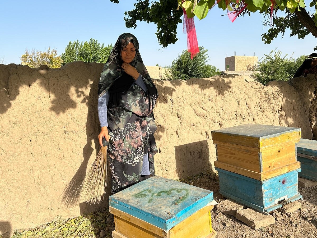 Una mujer sostiene una escoba con la que limpia las abejas de plagas