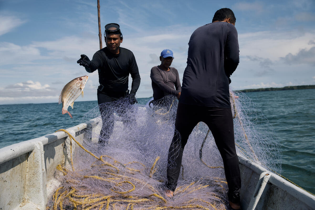 Tres hombres pescando sobre una embarcación en Colombia