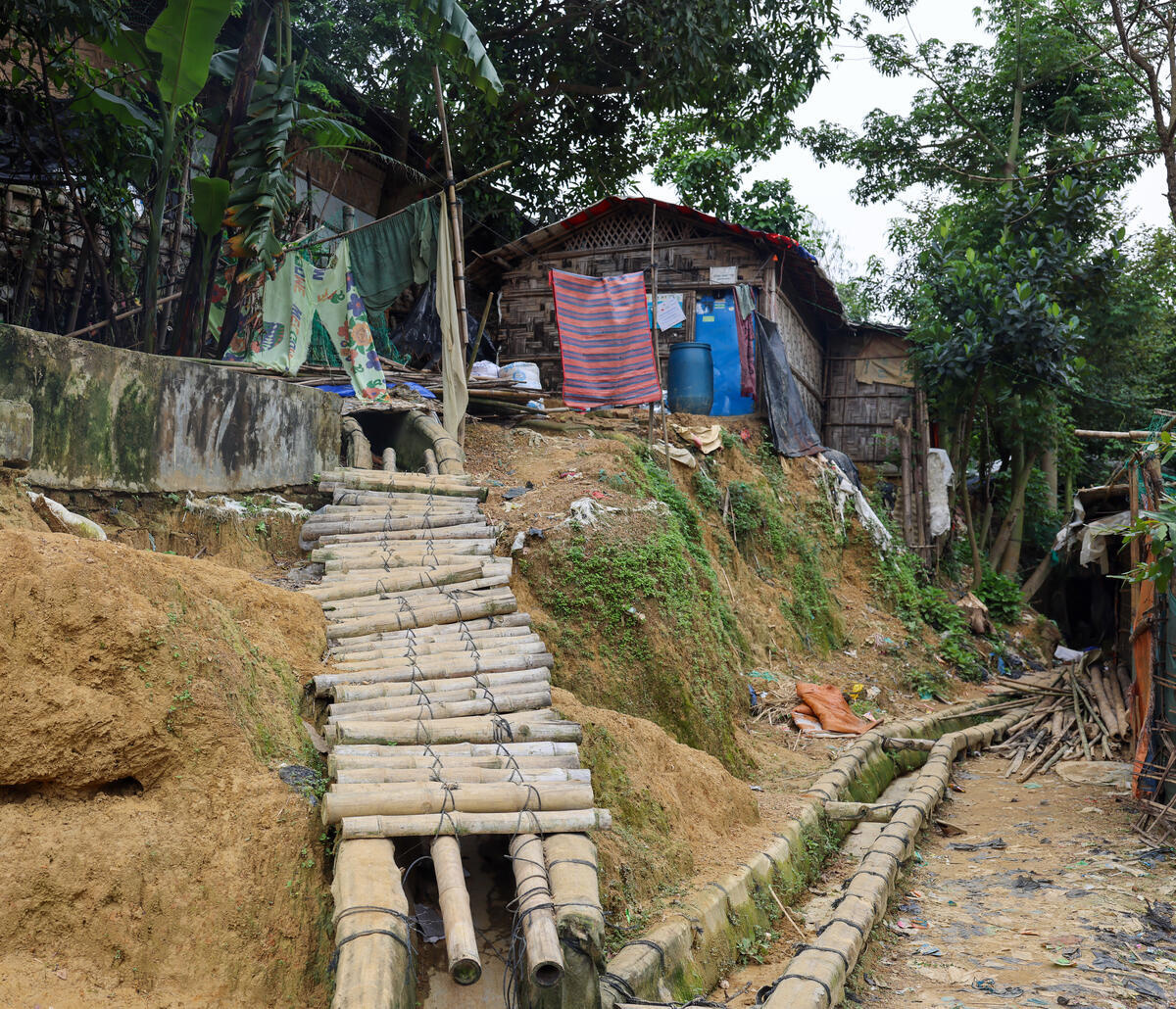 Sobre una ladera, un puente de bambú que conduce hacia un alojamiento hecho de lámina, lonas y madera