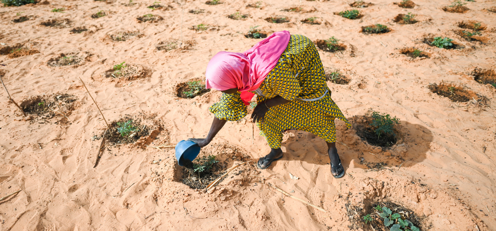 Una mujer vierte agua sobre vegetales en un terreno seco y arenoso