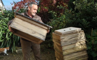 Apicultor sírio experimenta o doce gosto do sucesso com abelhas britânicas