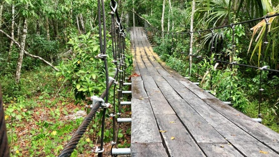 Uma ponte suspensa atravessa um barranco dentro do Parque Nacional El Mirador, na Guatemala, onde os solicitantes de refúgio trabalham como guardas florestais.