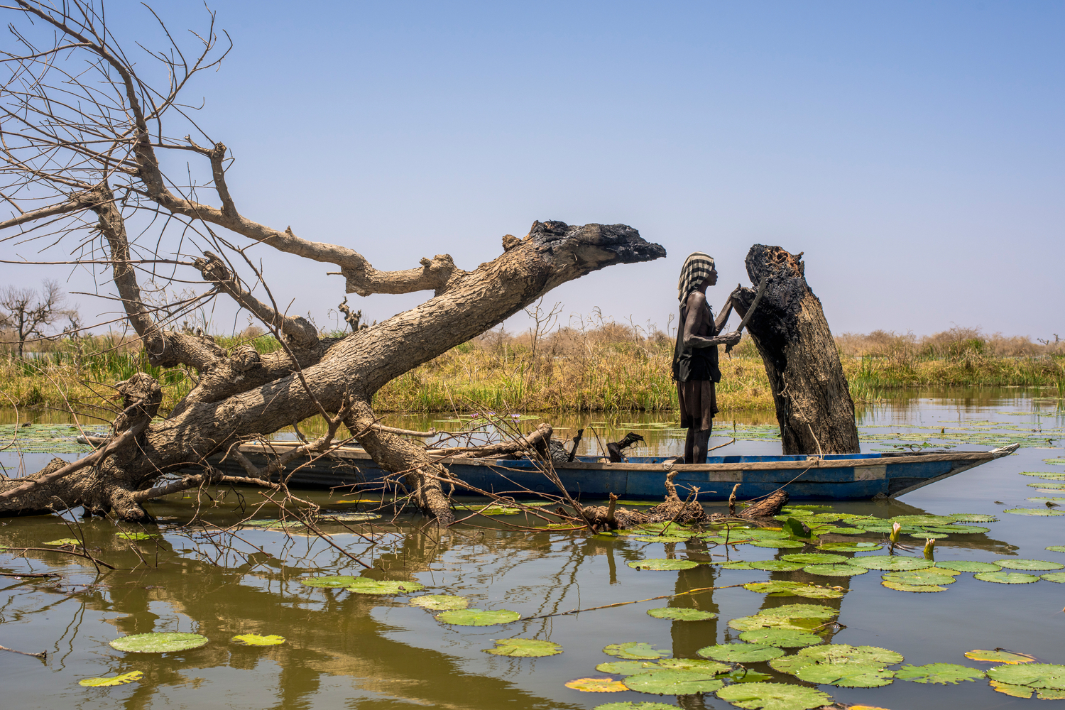 A woman standing in a canoe cuts at a burned tree stump with a machete. Una mujer en una canoa corta con un machete un tronco quemado.