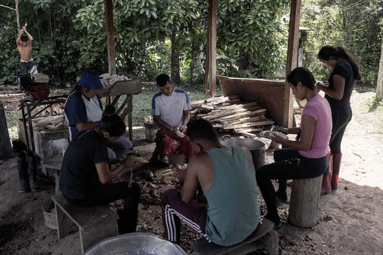 Un grupo de personas sentadas en taburetes preparando raíces vegetales mientras otro corta leña al fondo