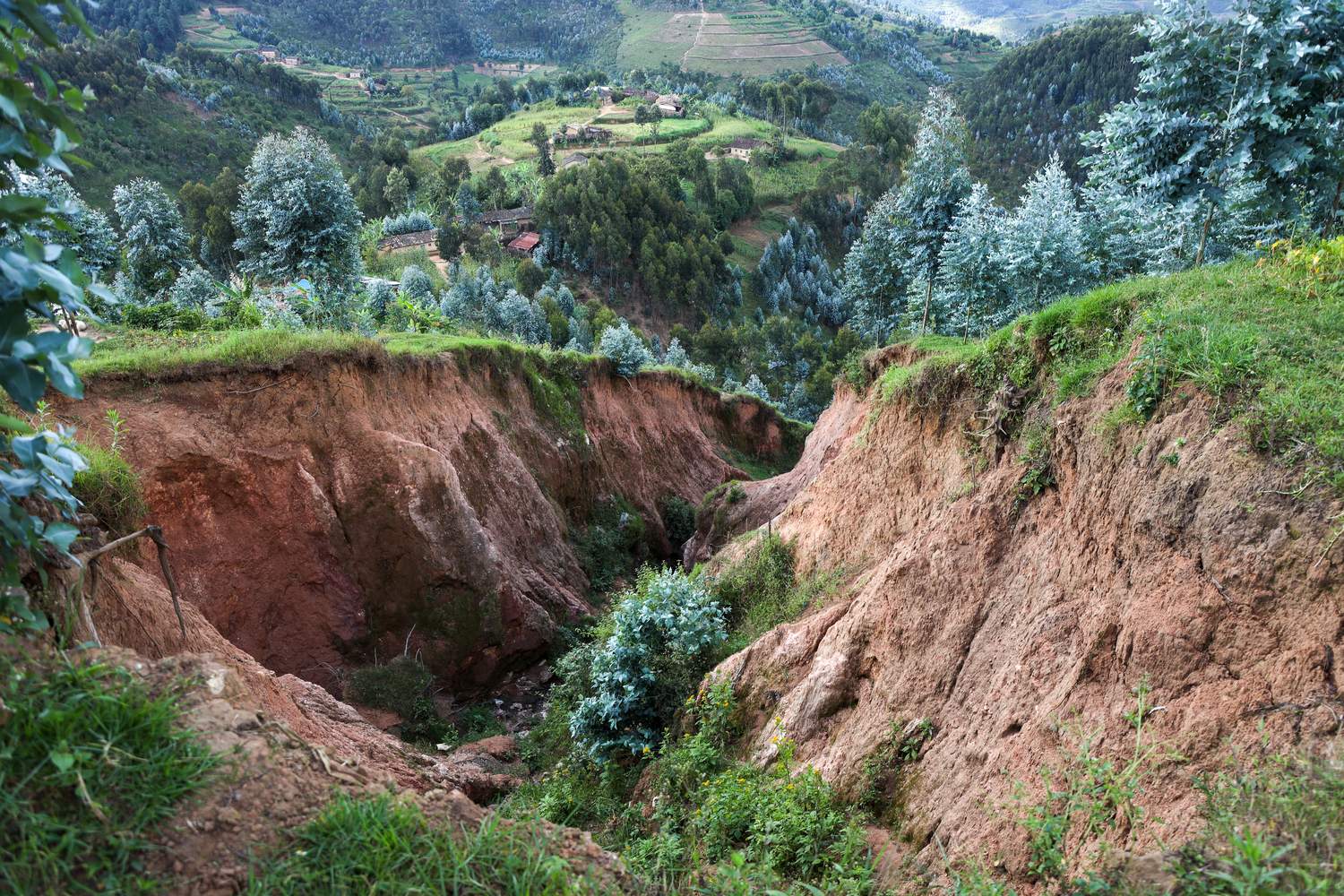 Un barranco de tierra expuesta atraviesa un paisaje exuberante en Ruanda.