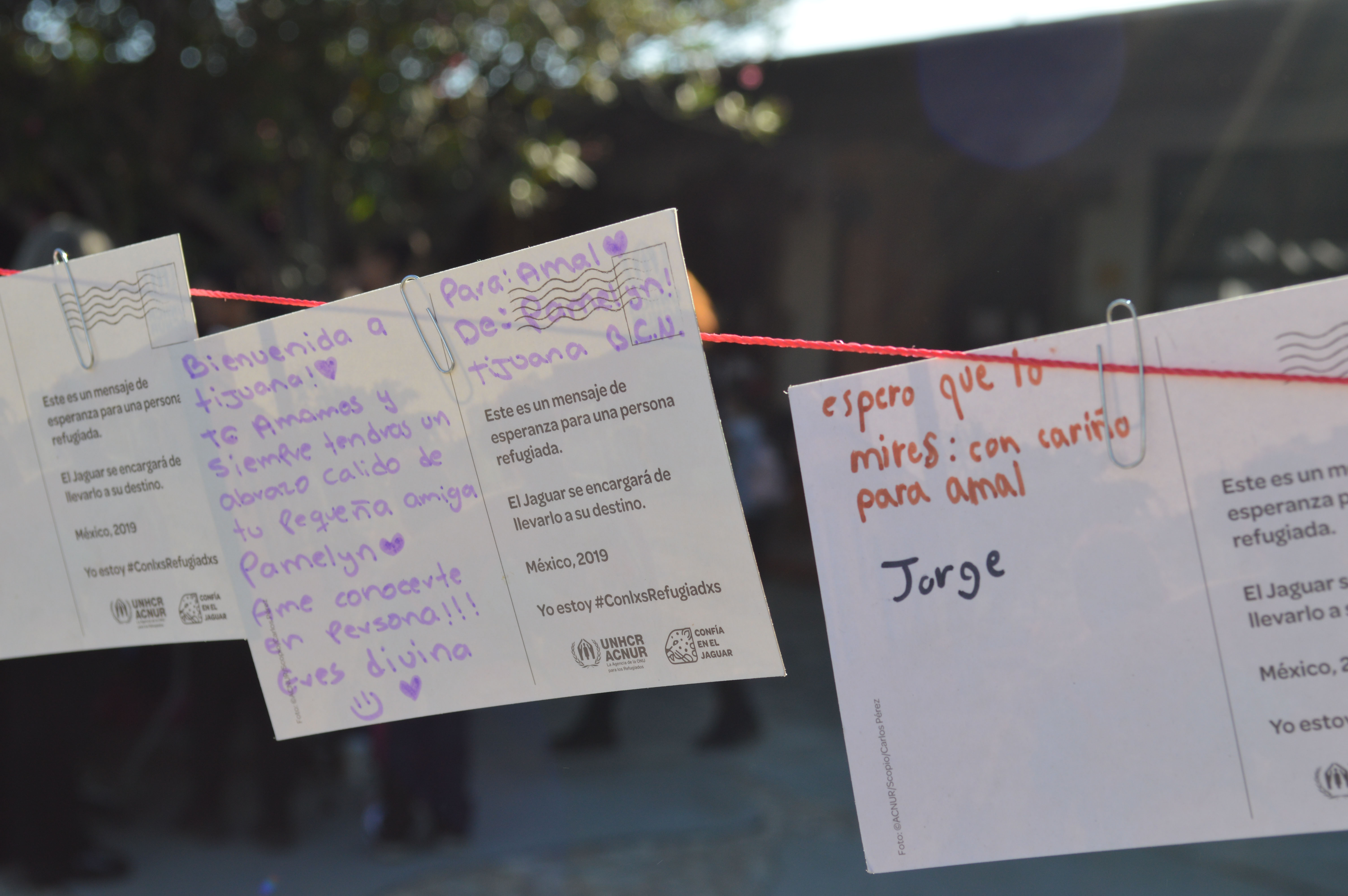 Postales con mensajes de niños están colgadas en fila en una cuerda.