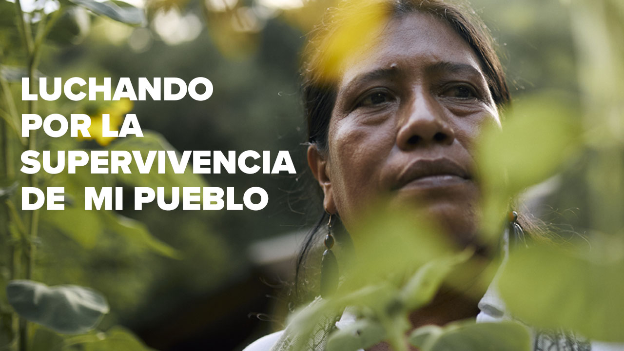 portada de video de Esneda