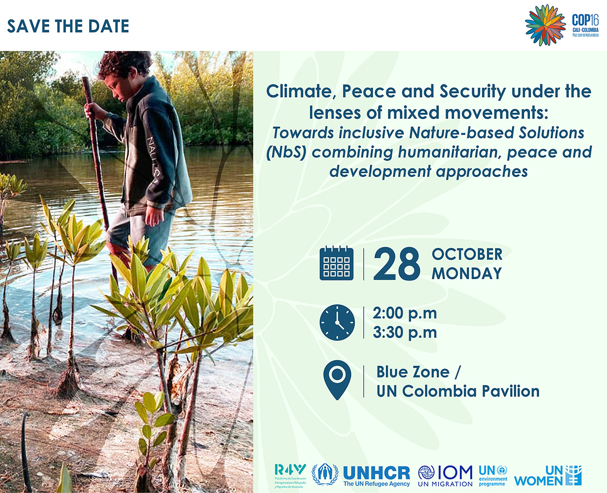 Panel on climate, peace and security under the lenses of mixed movements: 28 October, COP 16, Cali, Colombia.