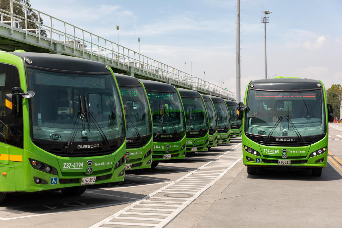 7 autobúses verdes alineados del lado izquierdo y uno de frente del lado derecho