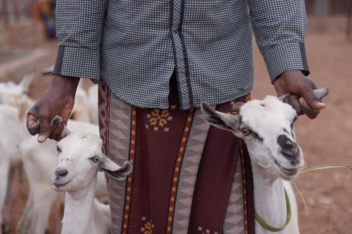 Ethiopia. UNHCR supports the displaced and host communities in Melkadida