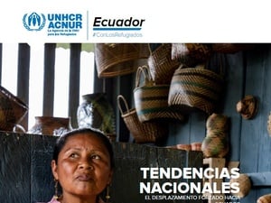El desplazamiento forzado hacia Ecuador: Tendencias nacionales 2023