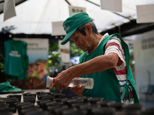 Un adulto mayor riega unas macetas con plantones.