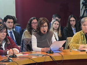 Tres mujeres con vestimenta formal y que portan anteojos las tres, están sobre una mesa con micrófonos