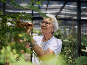 En un invernadero, una mujer mayor que usa anteojos observa una planta