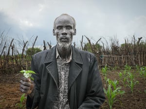 Un hombre mayor posa para una foto mostrando una planta en un campo de cultivo.