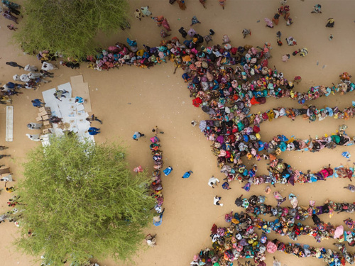 Imagen área de un árbol con decenas de personas alrededor