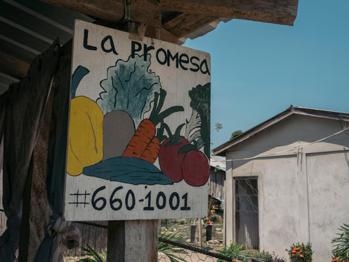 Fotografía de un cartel que tiene varias frutas pintas y que dice "La promesa"