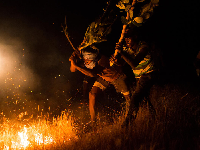 Mauritania. Voluntarios refugiados luchan contra los incendios forestales cerca del campamento de Malí
