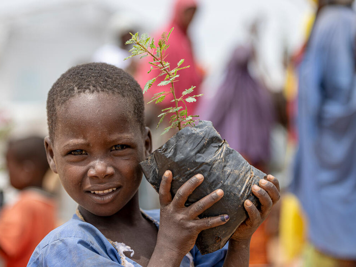 Un niño sostiene un pequeño árbol listo para ser sembrado, en la plantación de 2.000 árboles en la región del Extremo Norte de Camerún para ayudar a combatir la desertificación.